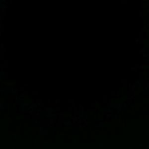 Meet your Posher, Jeremiah